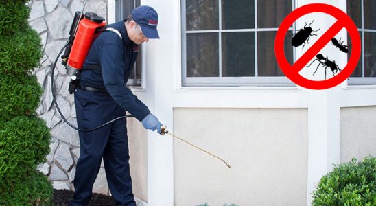 Karaköprü Böcek ve Haşere İlaçlama böcek ilaçlama ve haşere kontrolü — ilaclama-tr.com